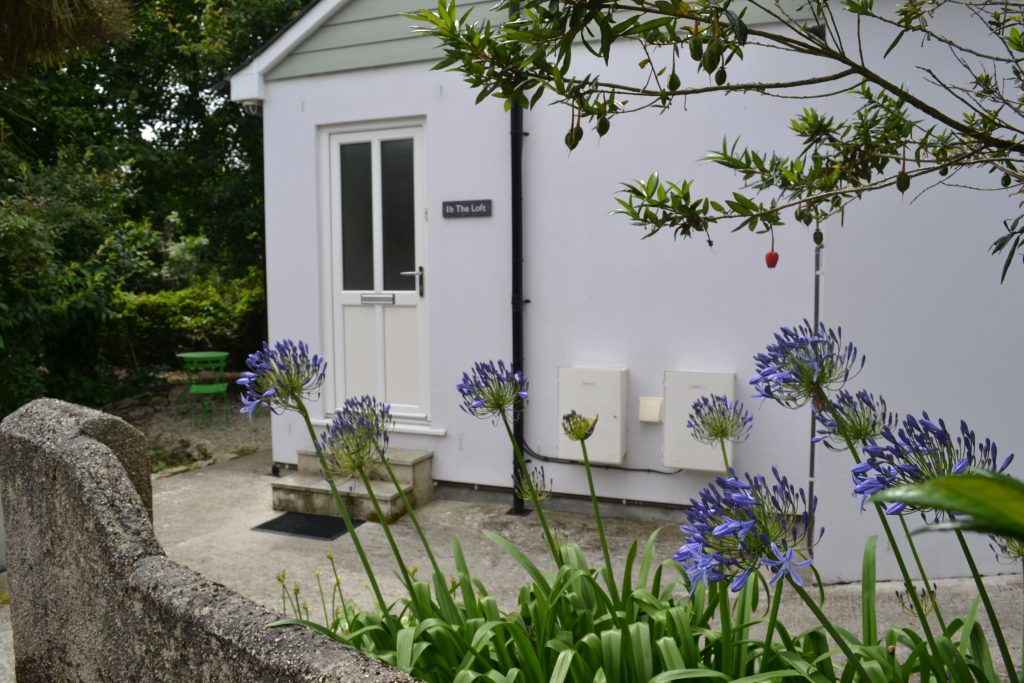 student accommodation falmouth